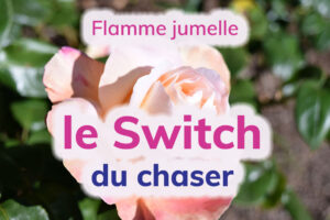 Flamme jumelle : le switch