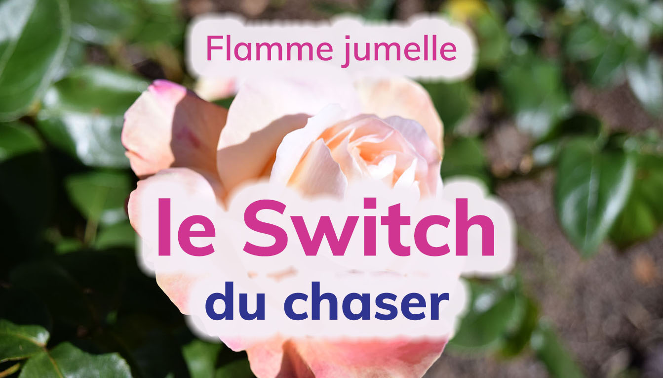 VIDÉO] Flamme jumelle : quest-ce que le switch et quand arrive-til ? -  Mathilde Boussard